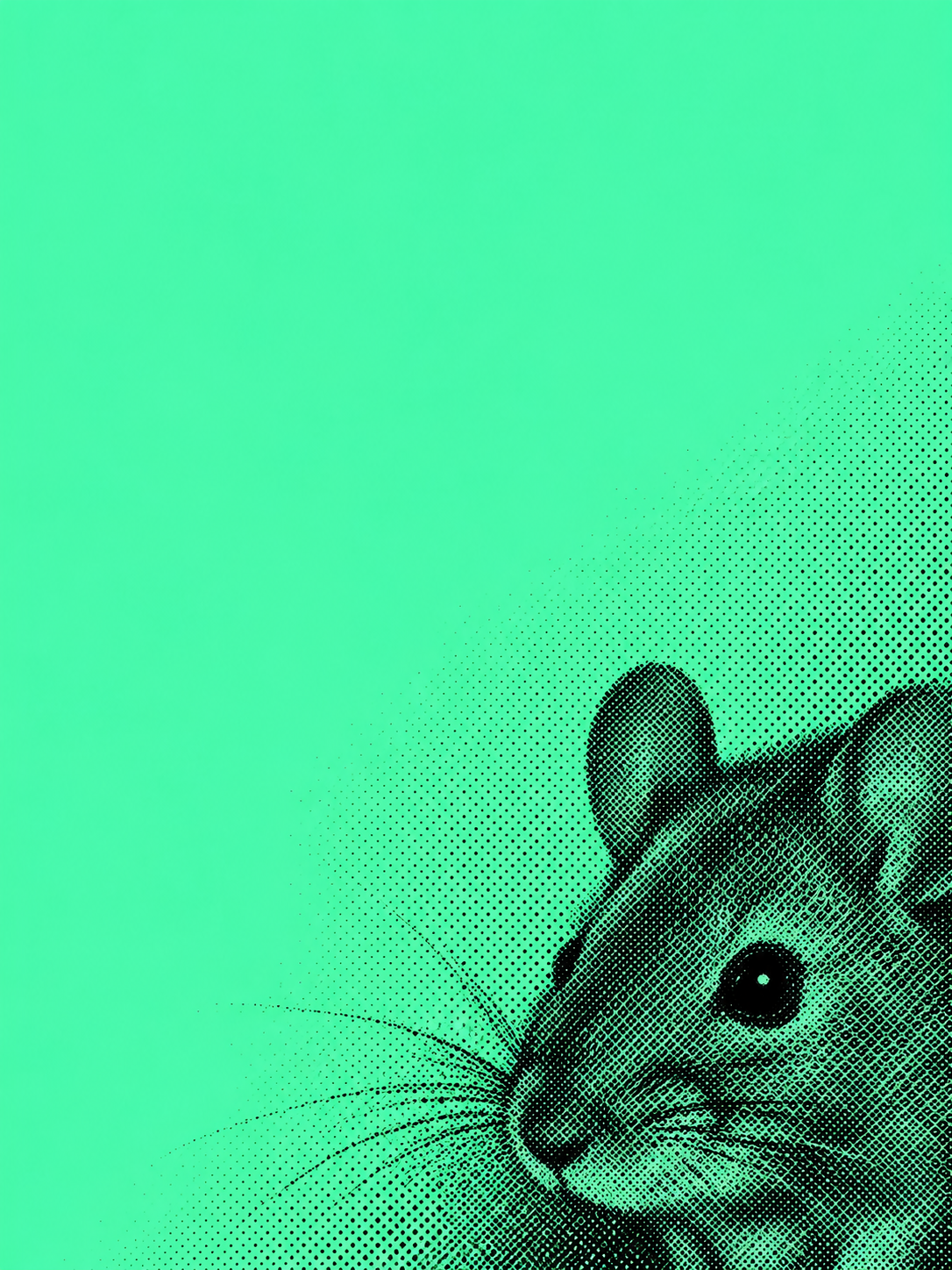 Editorial mouse illustration, not documentary evidence